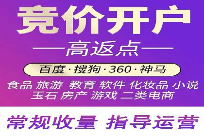 某某SEM公司助力企业快速发展的成功故事